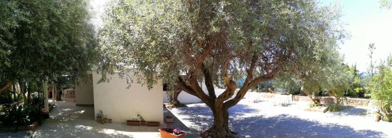 Villa La Plaja Cefalù Eksteriør billede